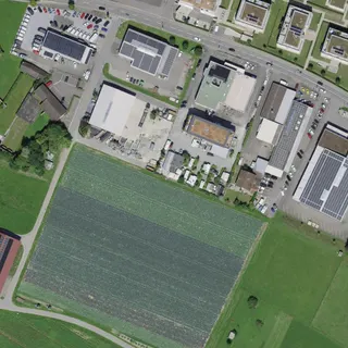 Luftbild von Oase
